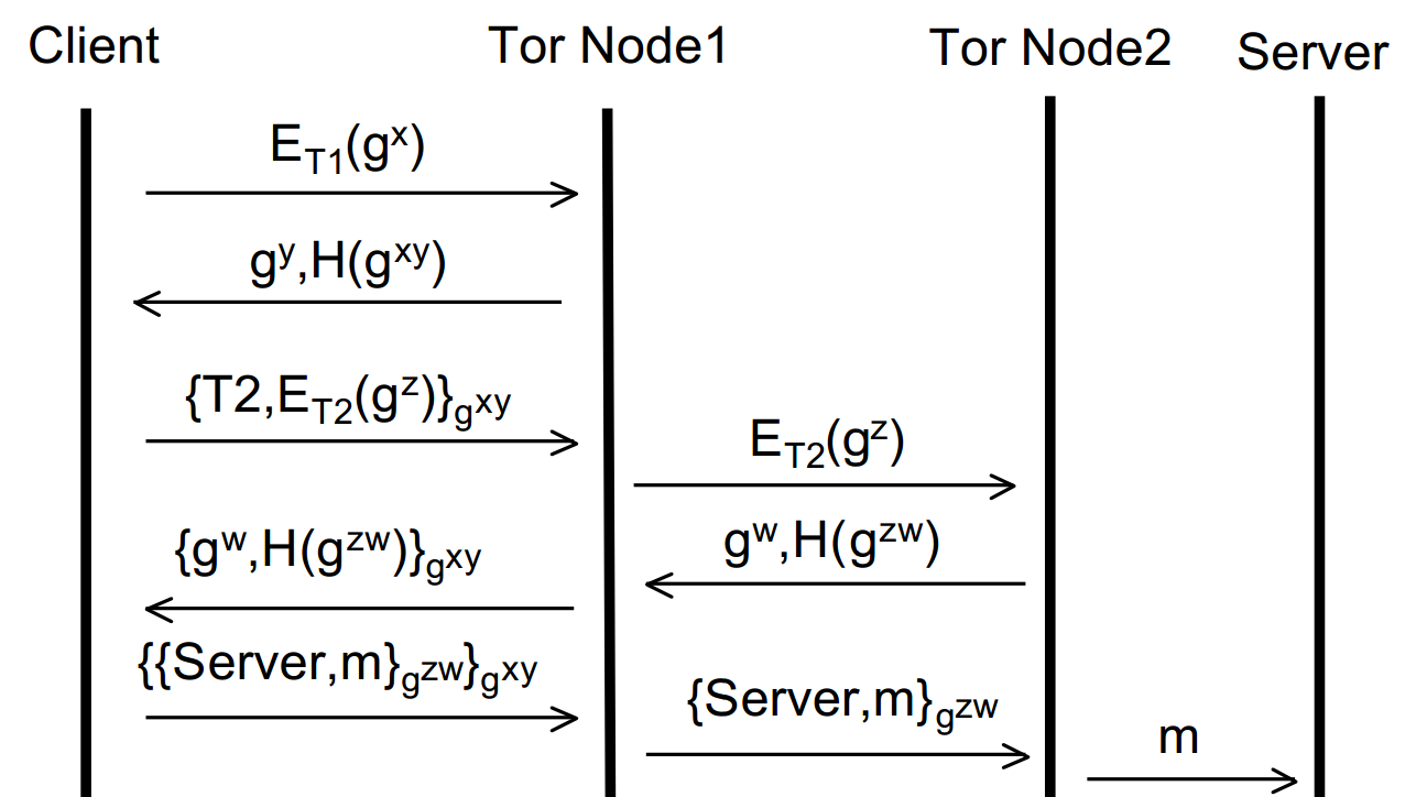 Tor4